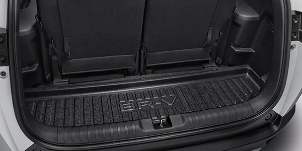 brv-cargo-tray